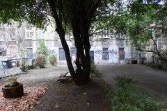 67312276_483655345536327_599528102527238144_o